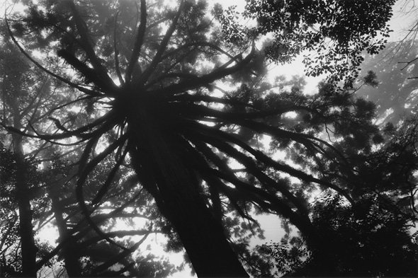 写真歴史博物館 企画写真展 水越 武　写真展「真昼の星」