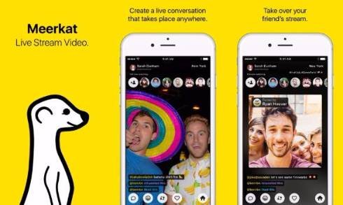  meerkat 1