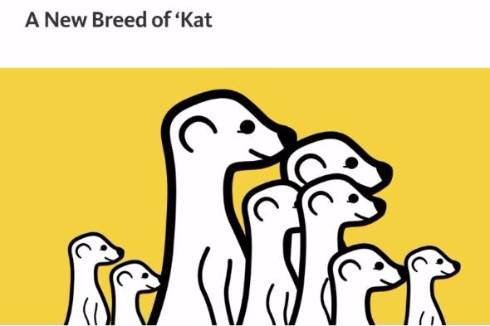  meerkat 2