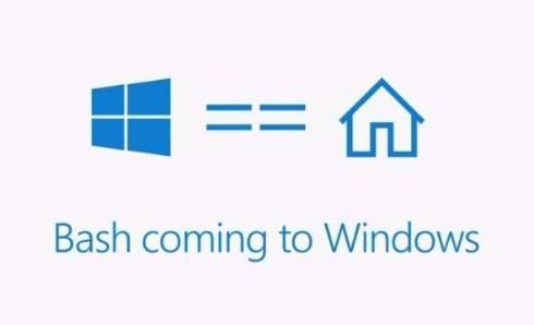  build 4