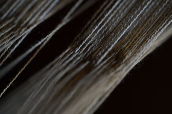 TAMRON SP 90mm MACRO