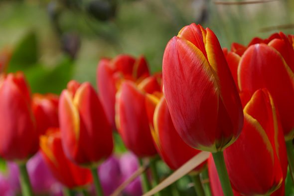 LUMIX TX1