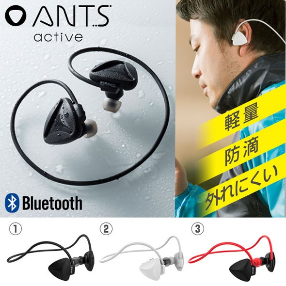 「ANTS active」