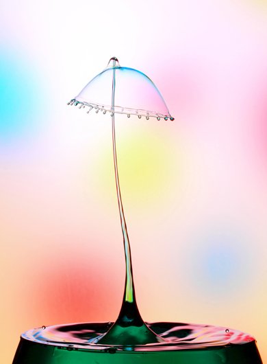 にせぶ 写真展「水滴写真の世界（The World of Waterdrop Photography）」