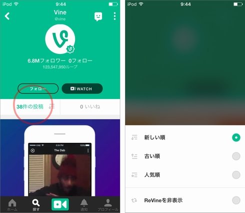  vine 2