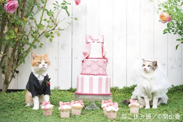ねこ休み展