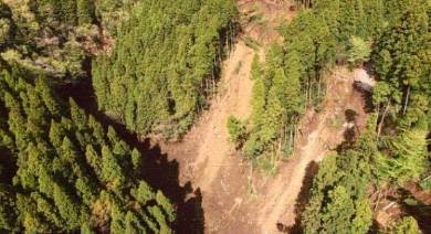 国土地理院が公開した南阿蘇村の土砂災害の写真