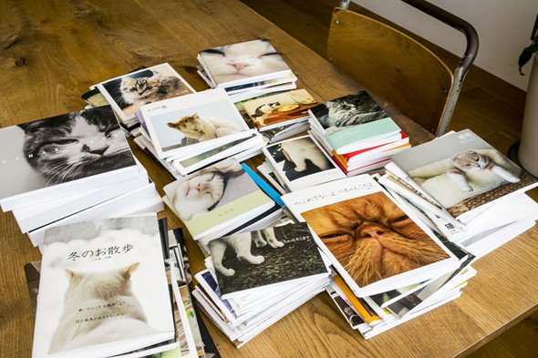 「Photoback ねこアワード展」