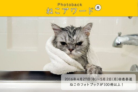 「Photoback ねこアワード展」