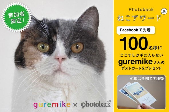 「Photoback ねこアワード展」