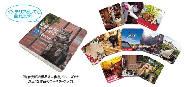岩合光昭 ねこの写真展