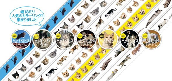 岩合光昭 ねこの写真展