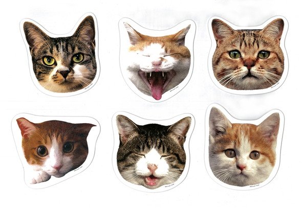 岩合光昭 ねこの写真展