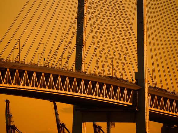 M.ZUIKO DIGITAL ED 300mm F4.0 IS PRO