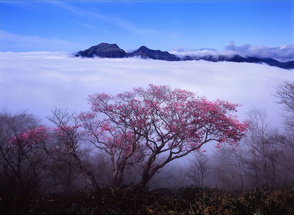 第6回　日本風景写真協会選抜展「四季のいろ」