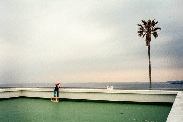 Shin Noguchi 氏