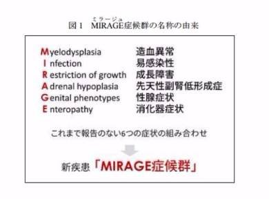 未知の遺伝子疾患「MIRAGE」
