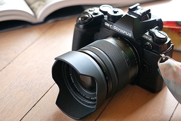 OM-D E-M1とLUMIX G VARIO 12-60mm / F3.5-5.6 ASPH. / POWER O.I.S.