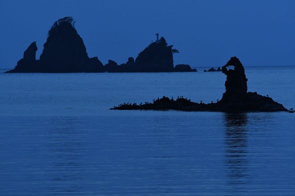 Nikon D500