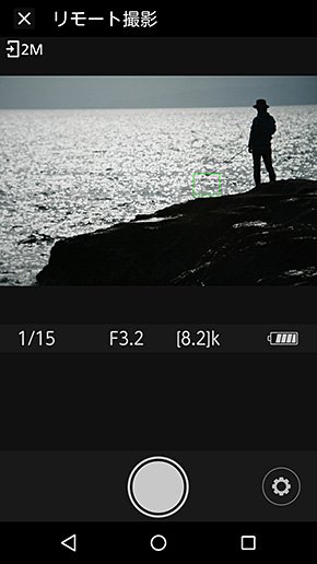 Nikon D500