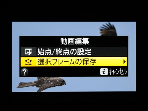 Nikon D500