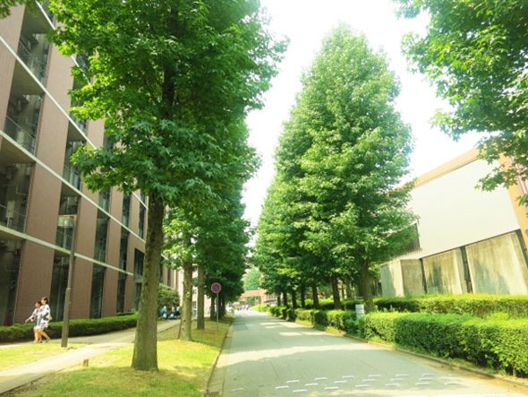 大学生