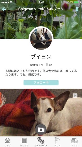photo