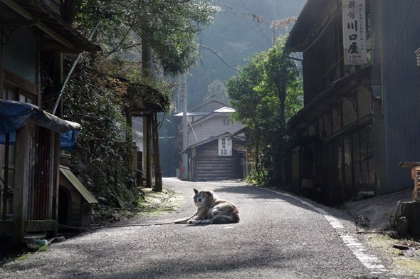 一色龍太郎氏の「石鎚山に抱かれて」