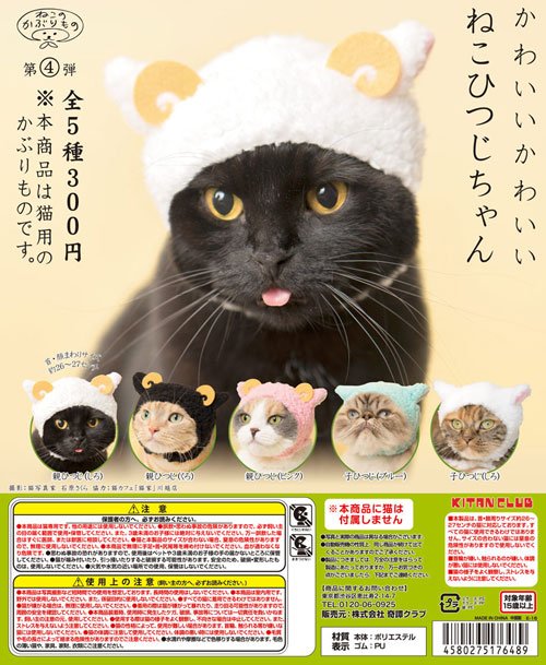 猫ひつじ