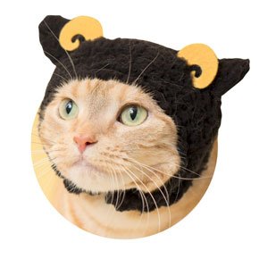親ひつじ、くろ