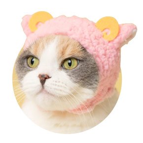 ピンク