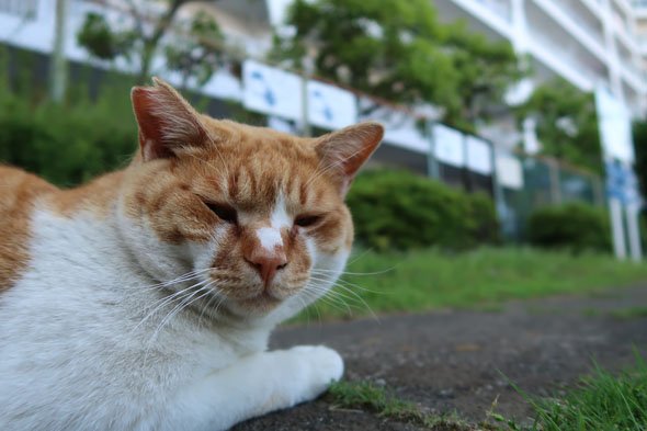 PowerShot G7 X Mark II