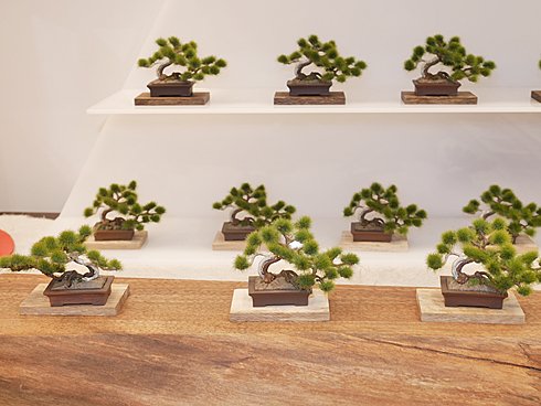 「THE BONSAI PLASTIC MODEL」