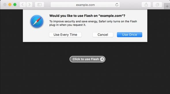  safari 1