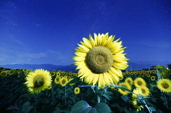 小山光弘写真展「追求の『刻（とき）』2016」