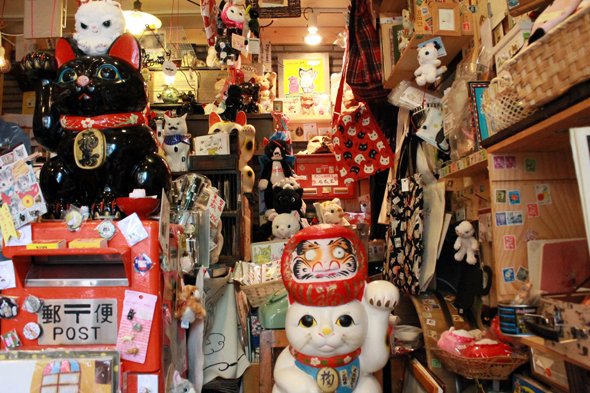 神楽坂 ねこの郵便局 猫 cat