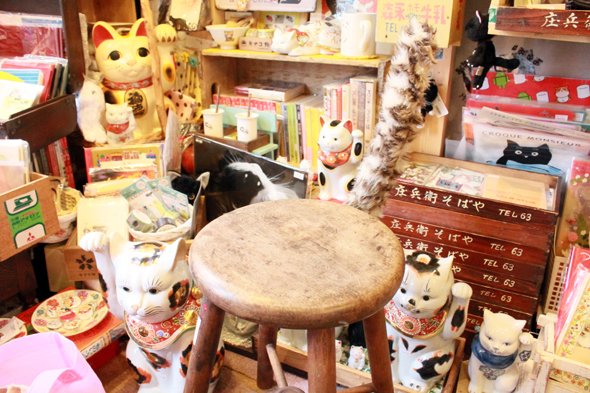 神楽坂 ねこの郵便局 猫 cat