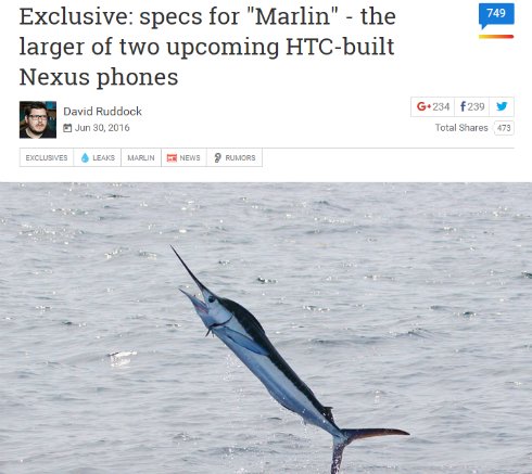  marlin 1