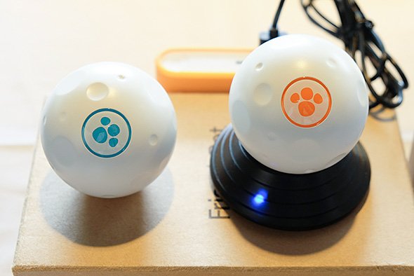 Friendsbot
