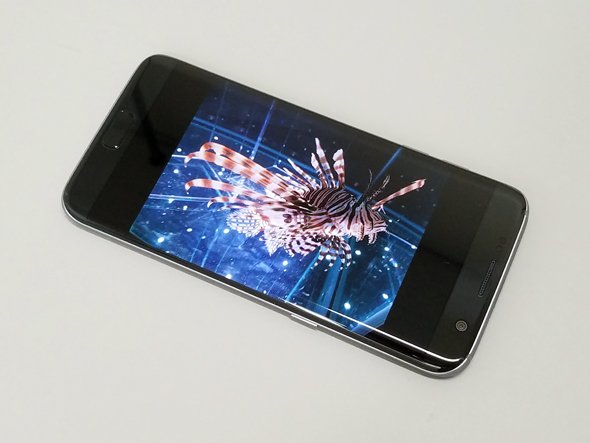 photo