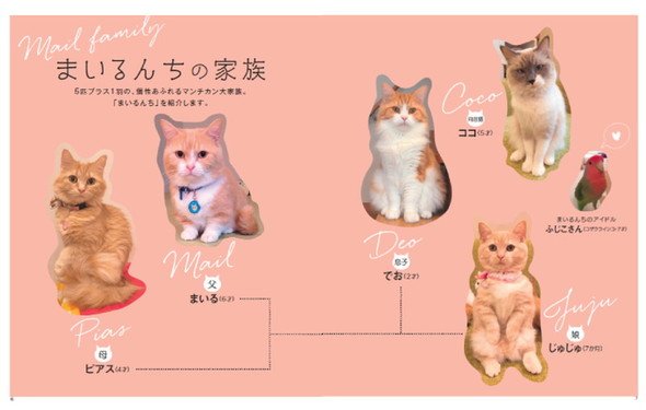 まいるんちの家族紹介