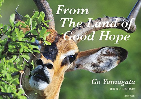 山形豪 Go Wild!