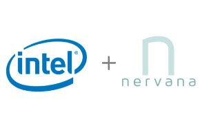  nervana