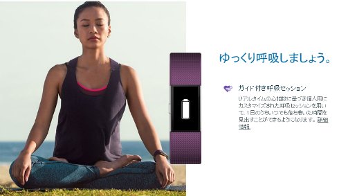  charge 2