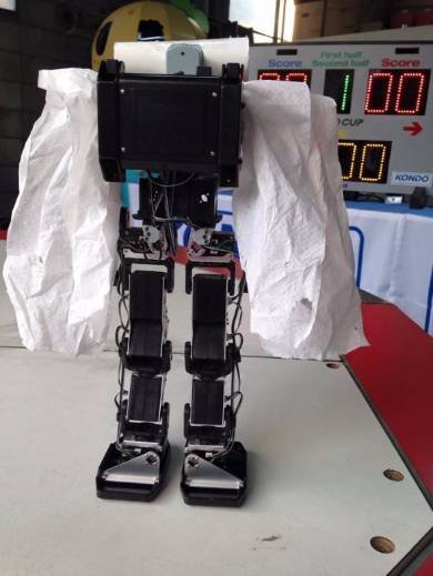 二足歩行ロボットの格闘競技大会「ROBO-ONE」「ROBO-ONE Light」