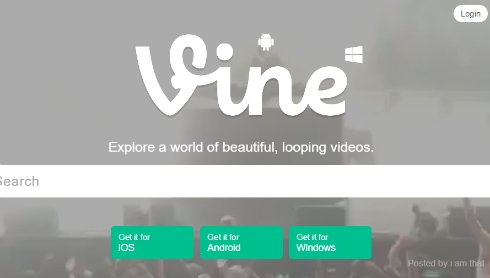  vine 2