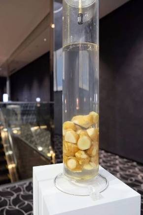 資生堂「LINK OF LIFE　エイジングは未来だ 展」