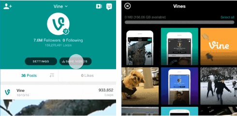  vine 1