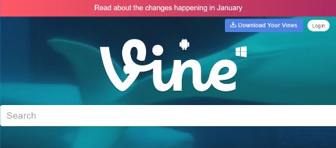  vine 2