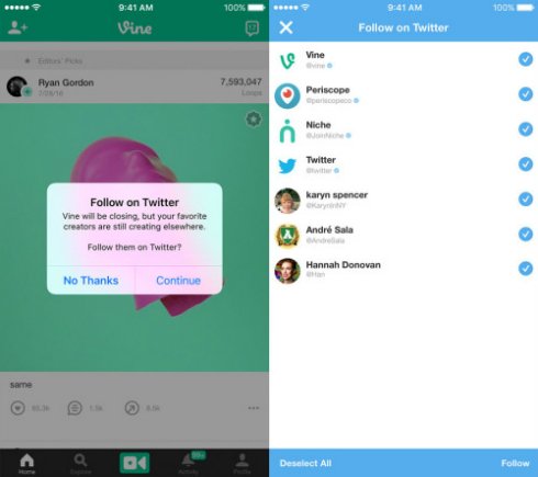  vine 3